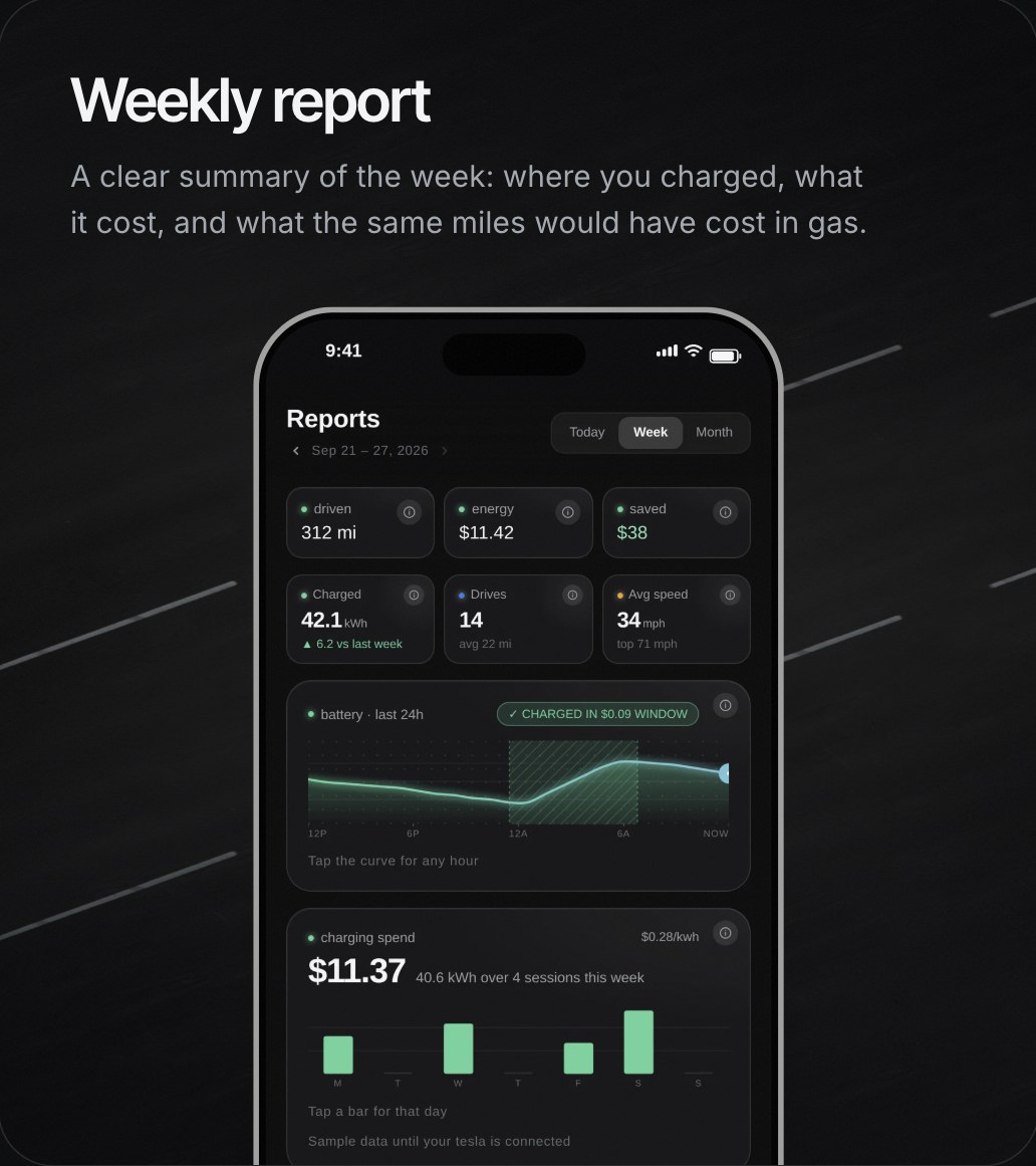 Weekly report